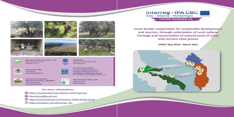 Final Brochure of CrossBorderOL Project