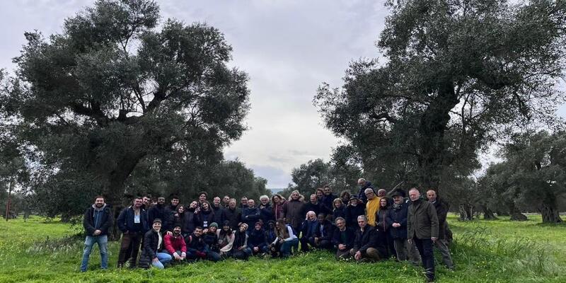 Cross Border Ol Workshop in Ostuni, Italy