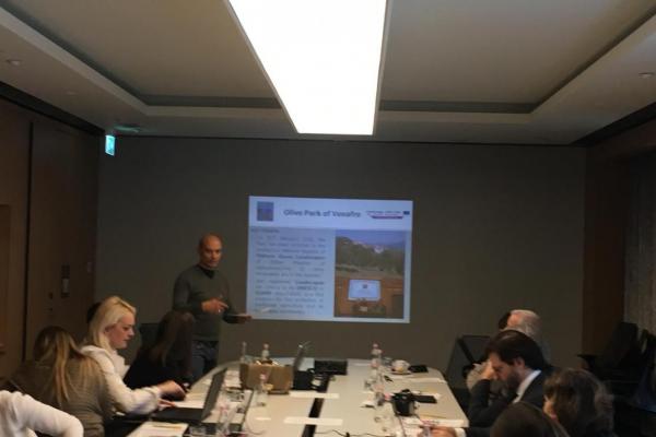 Secular Olive Orchard on focus in Cross-border Olive 